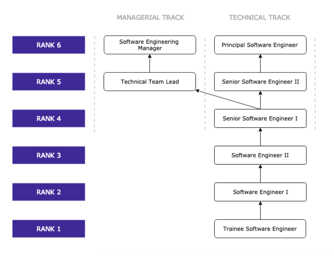 Managerial and technical track graph showing the ranks of team leads to software engineers