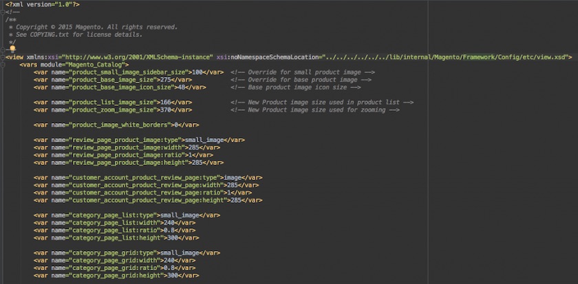 screenshot from terminal of the blank theme composer.json file