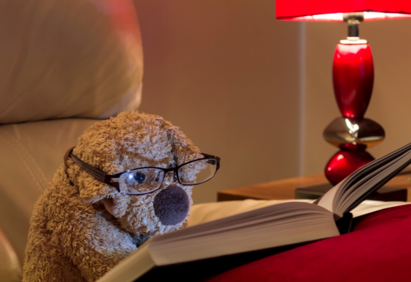 Soft toy bear in glasses reading a book