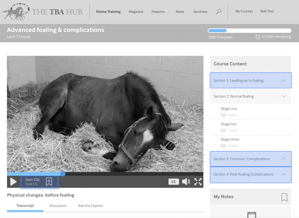 Screenshot from the elearning prototype showing the learning dashboard for a course on foaling